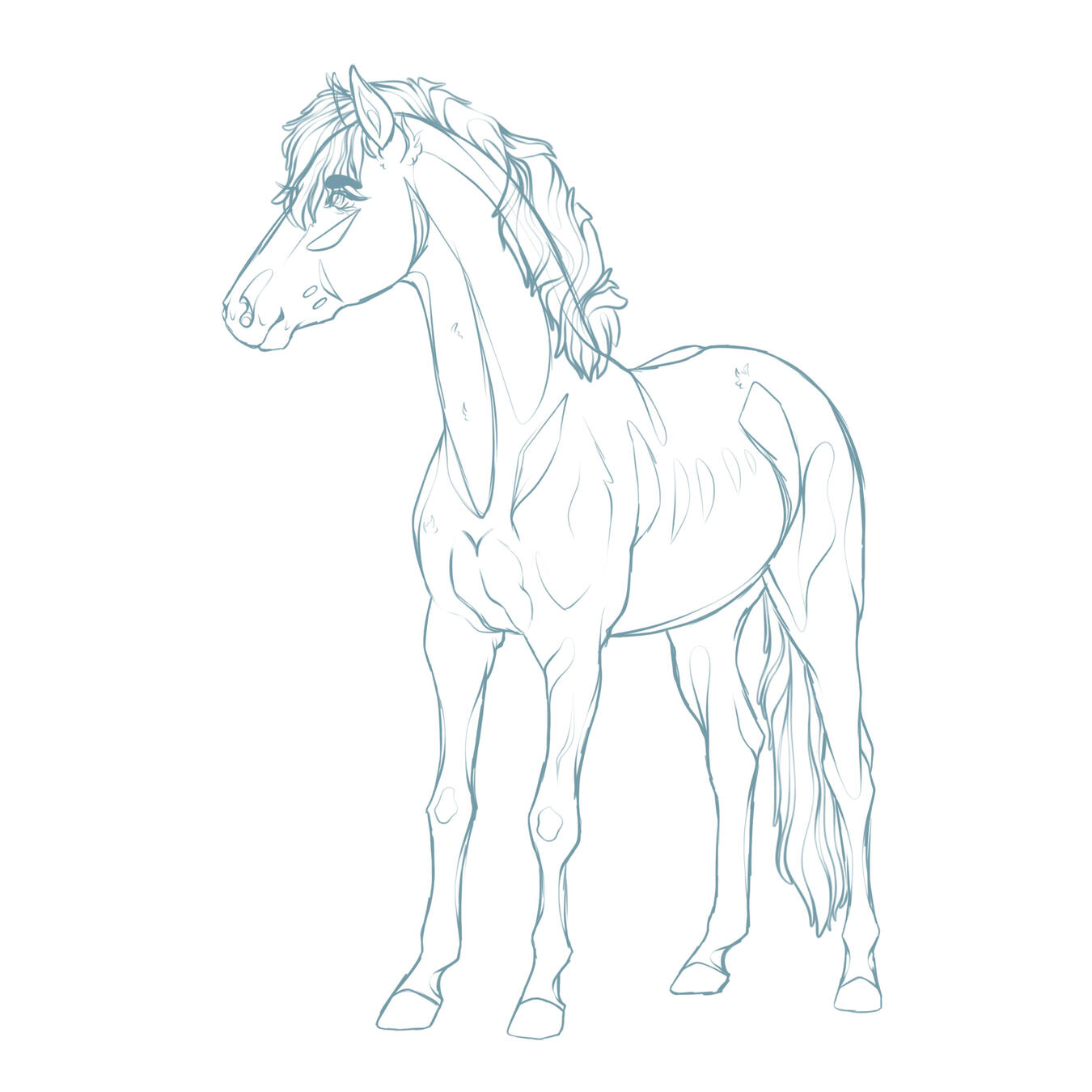 Sketch